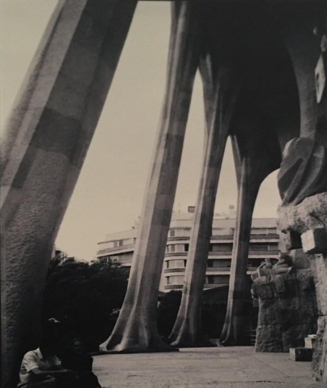 Barcelona_La Sagrada Familia_5